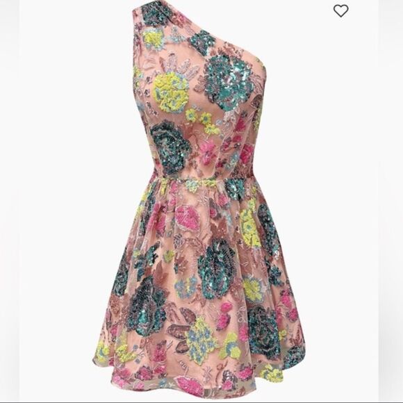 Nwt Delaney Dress
DRESS THE POPULATION  Floral Blush One-Shoulder Mini Dress - Picture 3 of 9